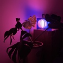 Bang Lampe Lop Big Square