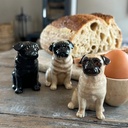 Quail Salt and Pepper Pug
