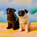 Quail Salt and Pepper Pug