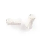 Ernest-Shop_Quail_Salt-and-Pepper_Westie_03.webp