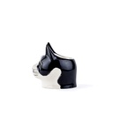 Quail Coquetier Chat