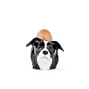 Ernest-Shop_Quail_Coquetier_Border-Collie_01.webp