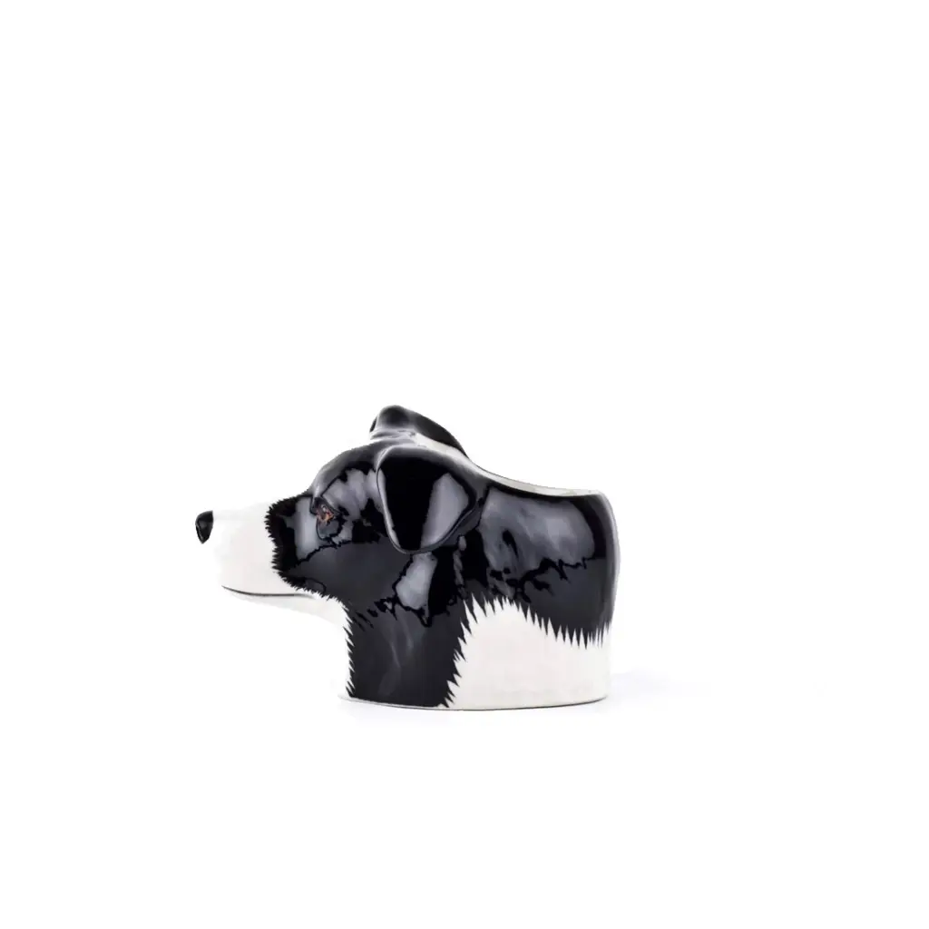 Ernest-Shop_Quail_Coquetier_Border-Collie_03.webp