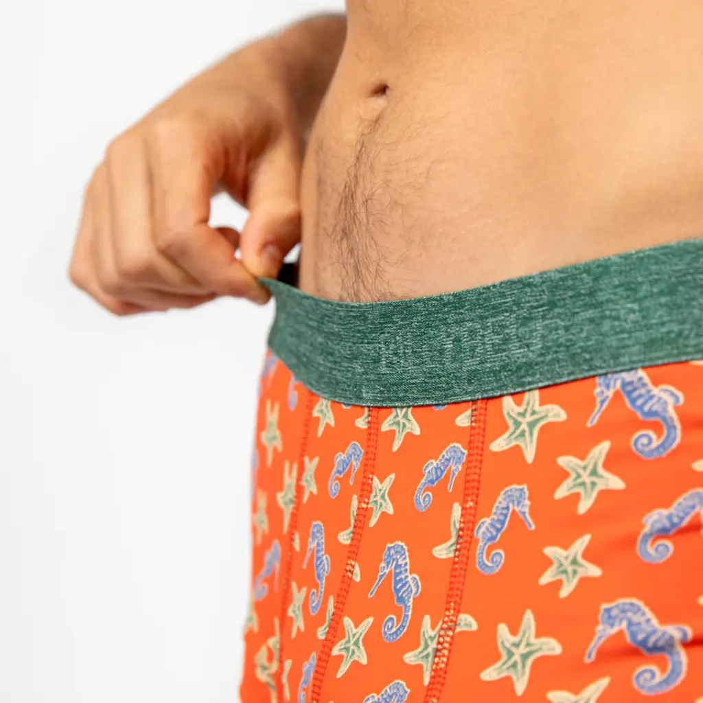 Ernest-Shop_Billy-Belt_Boxer_Seahorse_02.webp