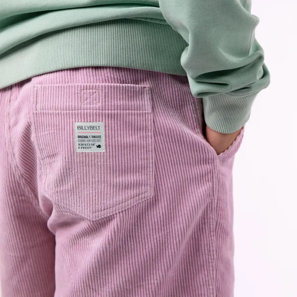 Ernest-Shop_Billybelt_Short-Beach_Velours_Parme_03.webp