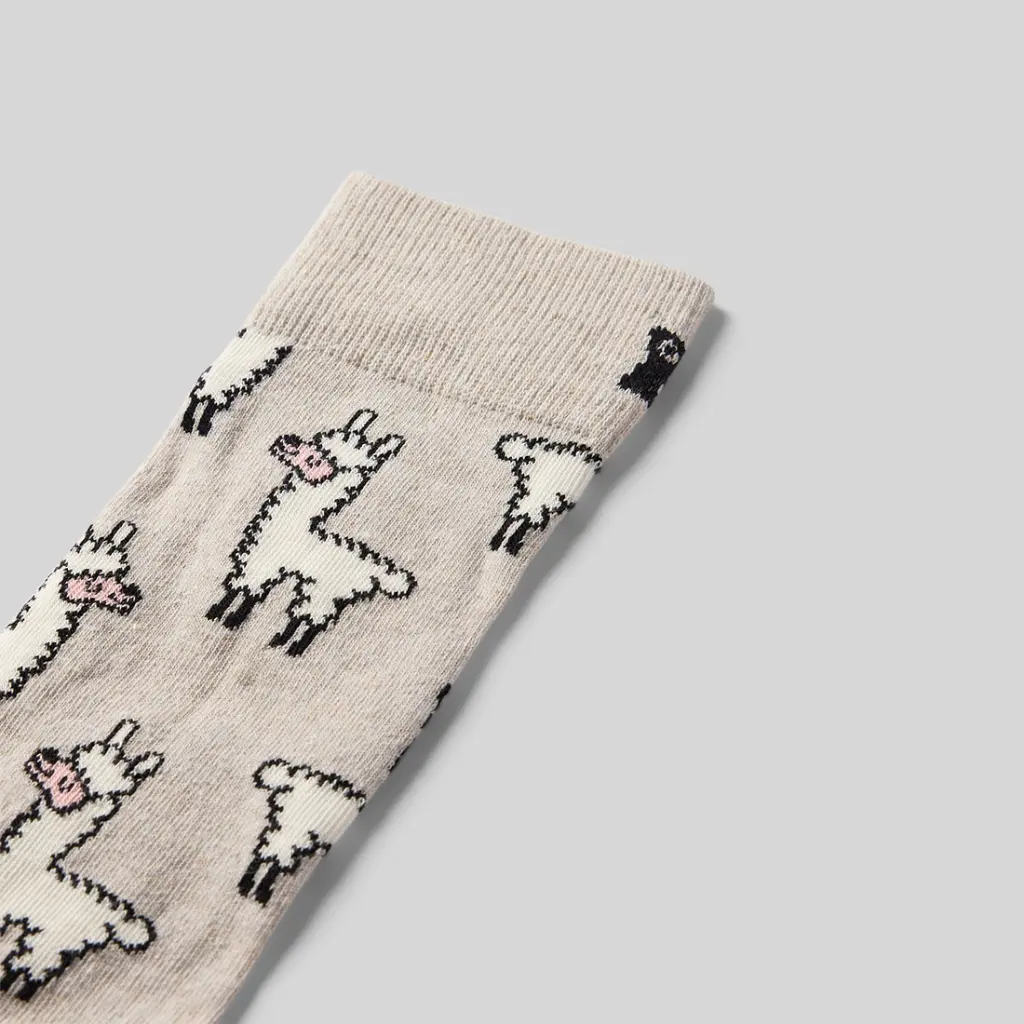 Ernest-Shop_Chaussettes_Happy-Socks_Lama_03.webp