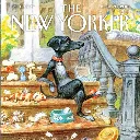 Ernest-Shop_Puzzle_New-Yoker_Tag-Sale_03.webp