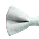 JAGGS Noeud Papillon - Rosée du matin