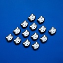 Papier Tigre Gomme Tigre