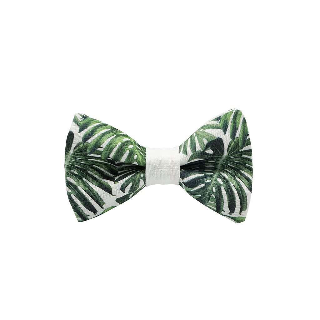 JAGGS Noeud Papillon Tropical Mood