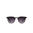 Komono Sunglasses Francis Matte - Black Tortoise