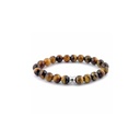 Steel and Barnett Basic - Oeil de Tigre