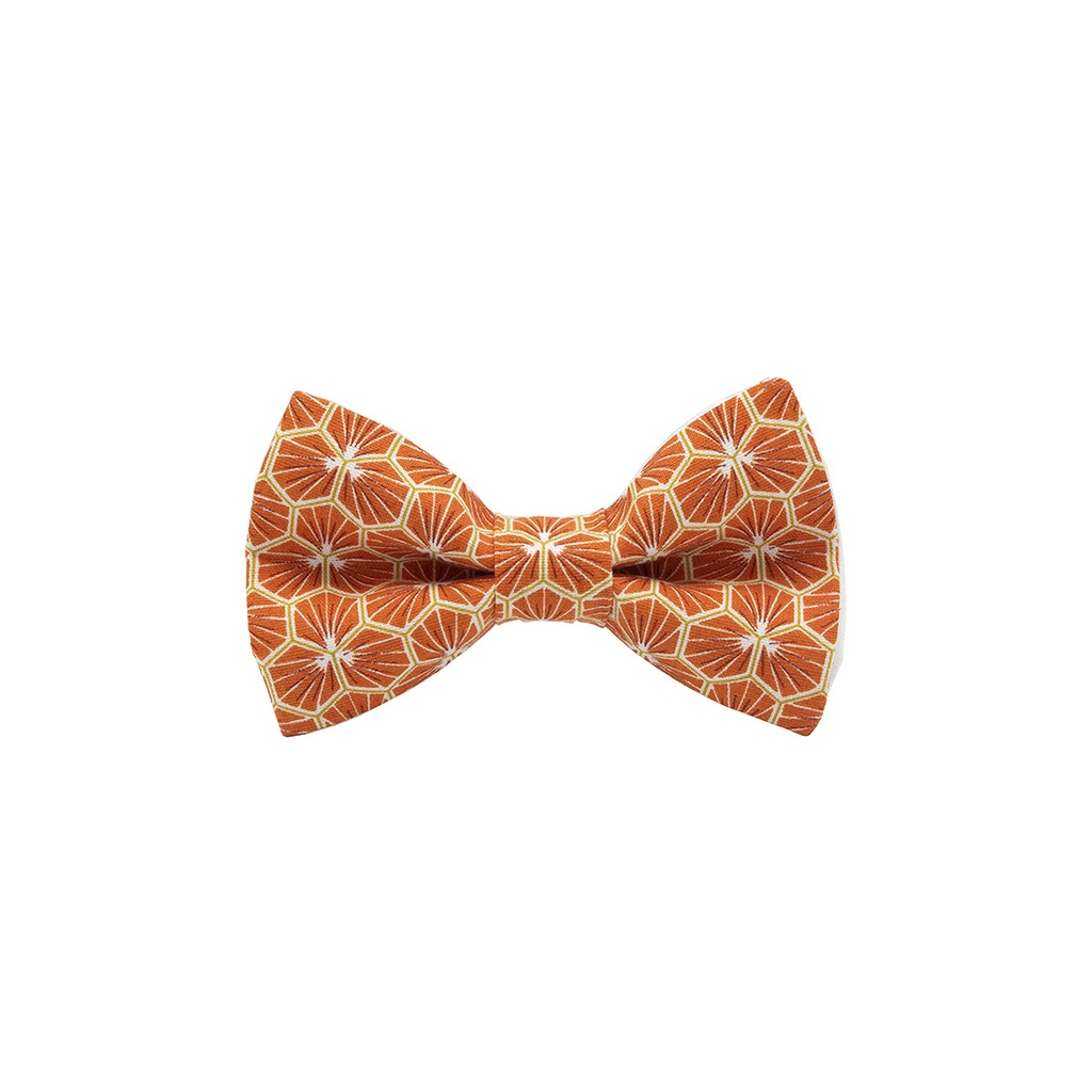 JAGGS Noeud Papillon Japonais Polygone (Orange)