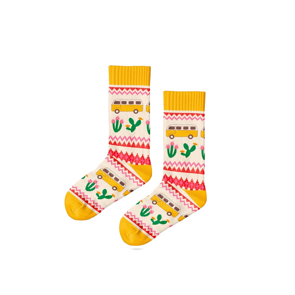 Polar Star Chaussettes Reise