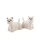 Quail Salt and Pepper Westie