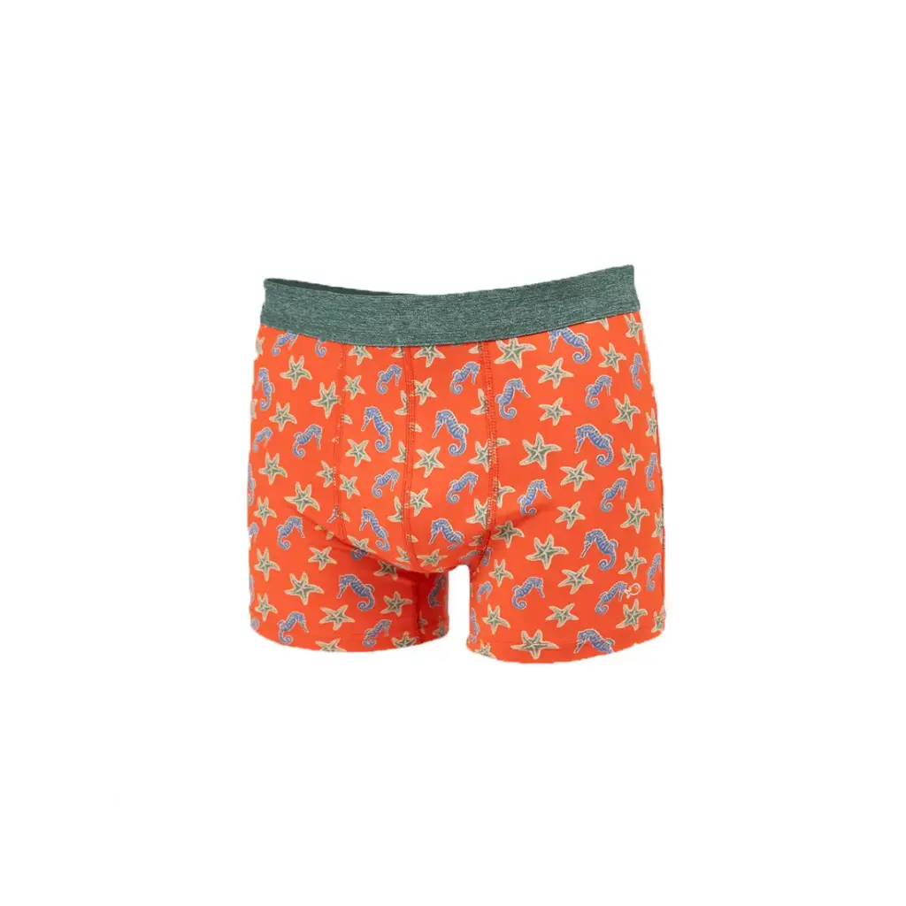 [BO77-T1] Boxer Billybelt Seahorse (S)