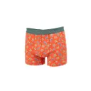 Boxer Billybelt Seahorse