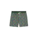 Billybelt Boxer - Brown Bear