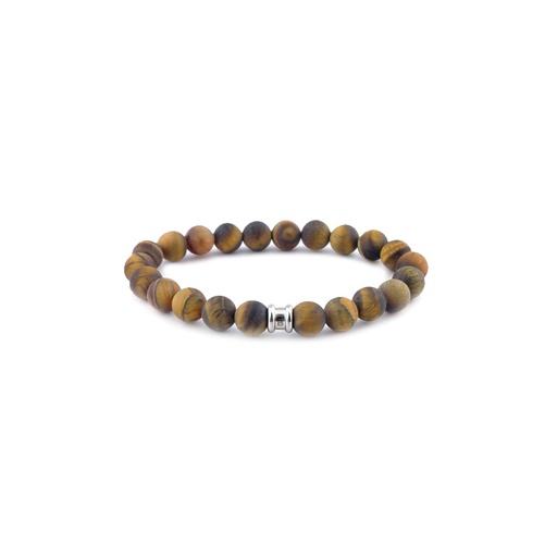 Steel and Barnett Basic - Oeil de Tigre Mate