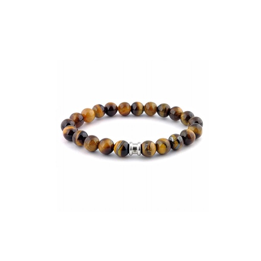 Steel and Barnett Basic - SBB013 Tiger