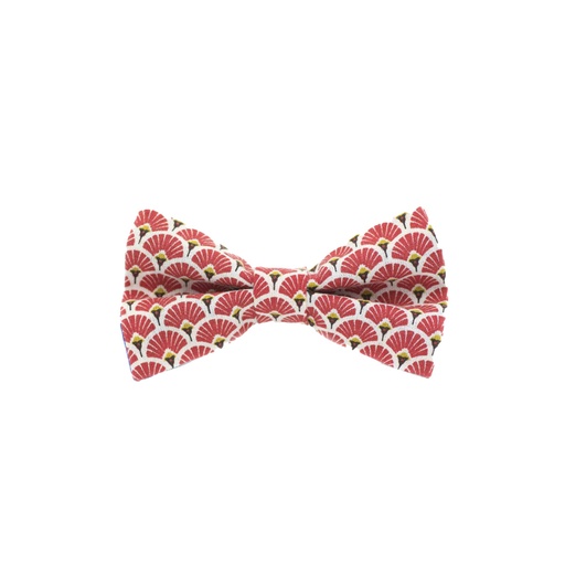 JAGGS Noeud Papillon - Knokke (copie)