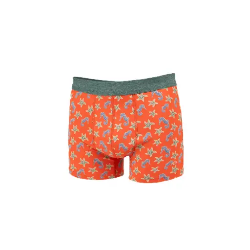 Billybelt Boxer Seahorse